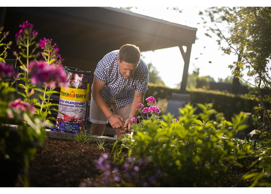 Floragard Aktiv Pflanzenerde für Balkon und Geranien