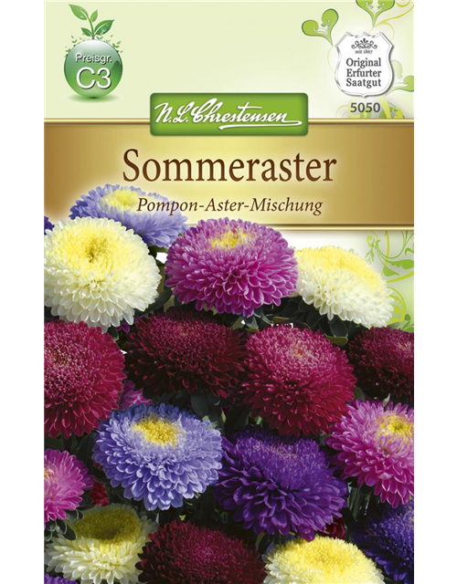 Gartenastersamen 'Pompon'