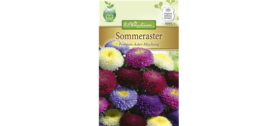 Gartenastersamen 'Pompon'