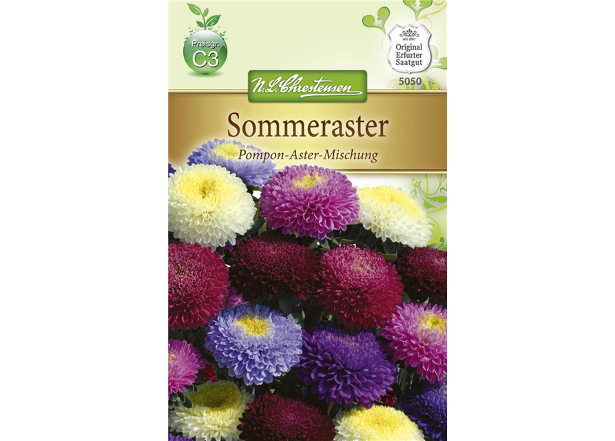 Gartenastersamen 'Pompon'