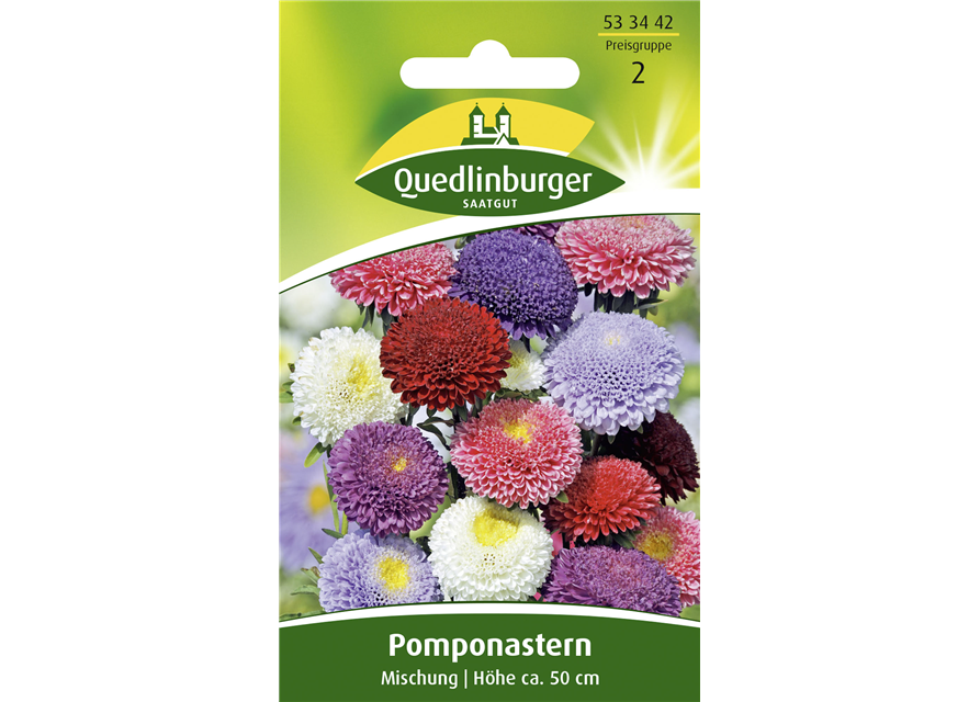 Gartenastersamen 'Pompon'