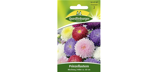 Gartenastersamen 'Prinzess'