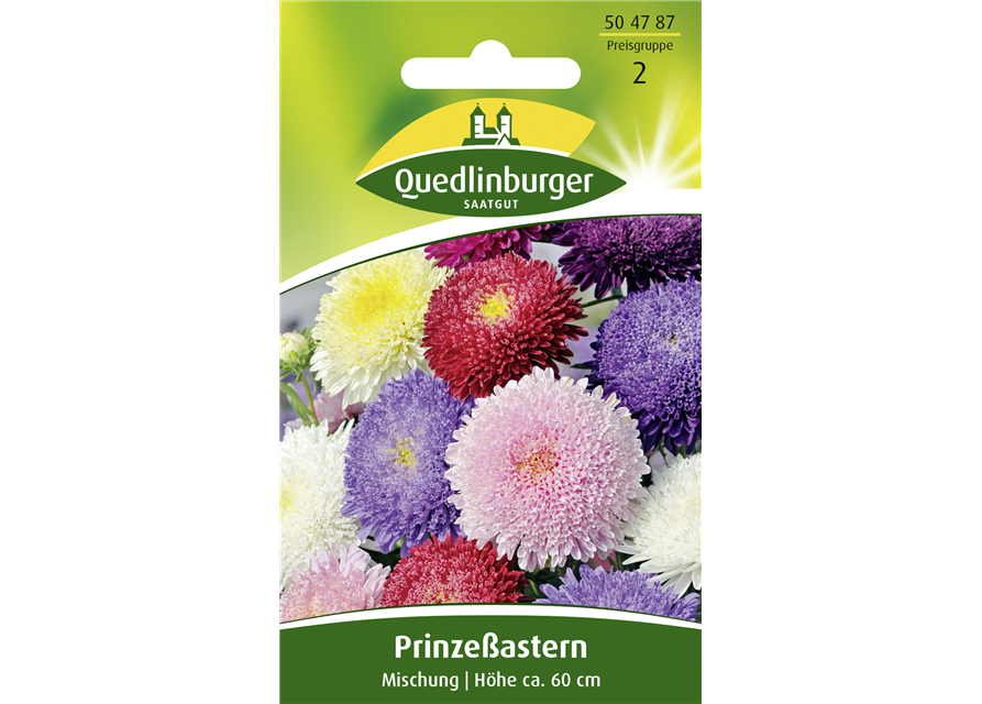 Gartenastersamen 'Prinzess'