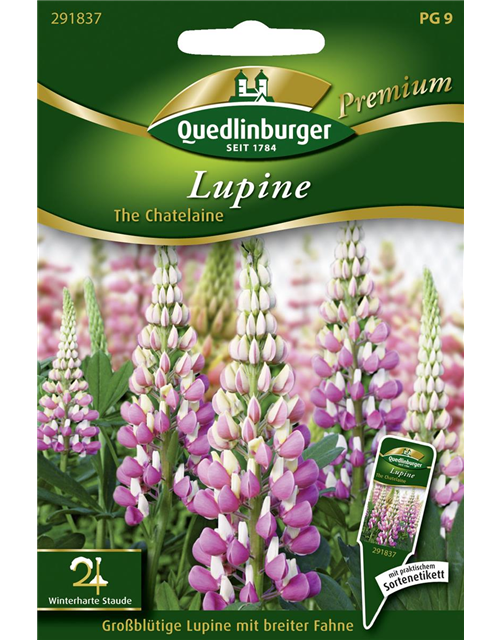 Garten-Lupine-Samen 'The Chatelaine'