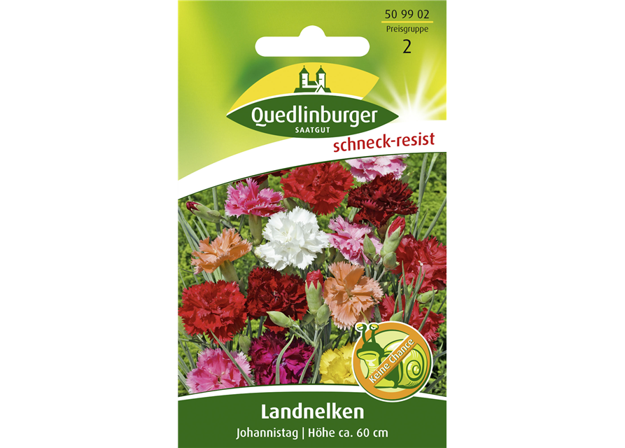 Gartennelkensamen 'Johannistag'