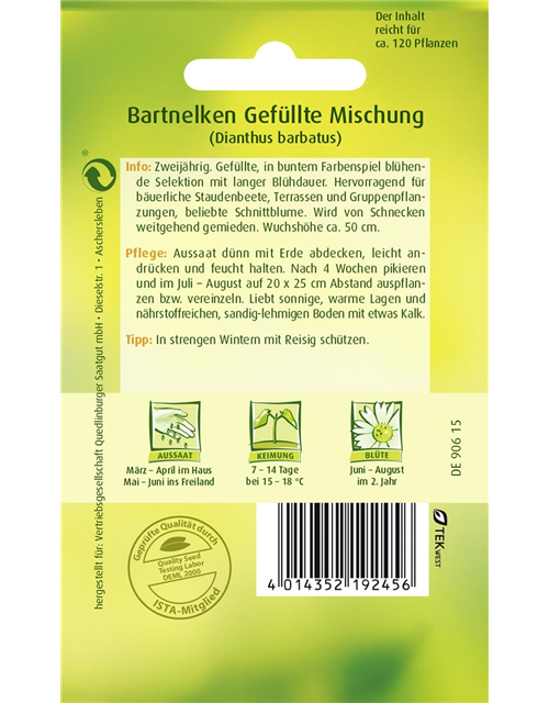 Gefüllte Bartnelke-Samen