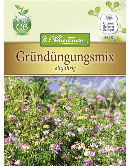 Gründungsmix-Samen