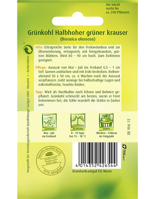 Grünkohlsamen 'Halbhoher Grüner Krauser'