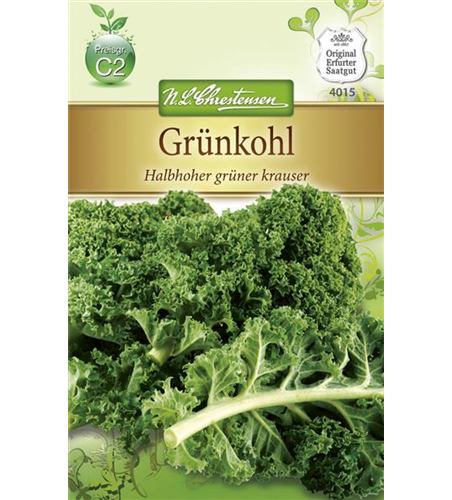 Grünkohlsamen 'Halbhoher Grüner Krauser'