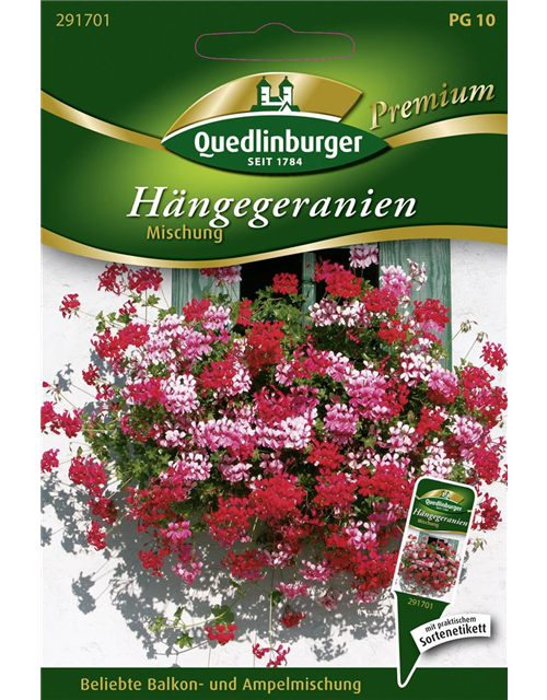 Hängegeraniensamen