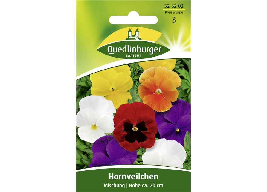 Hornveilchensamen