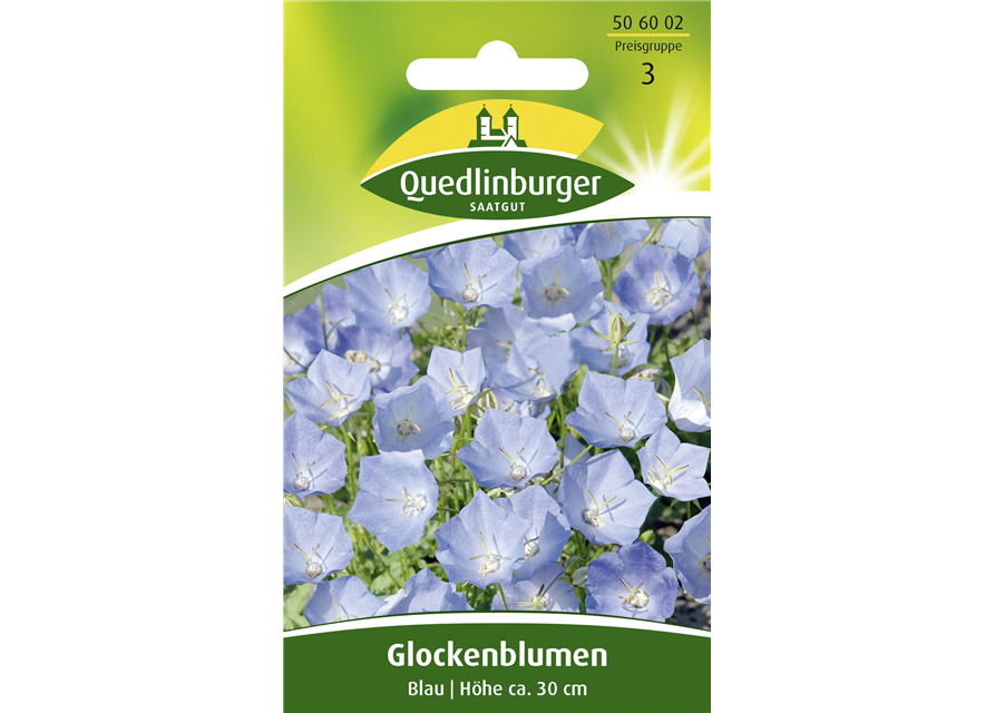 Karpaten-Glockenblume-Samen