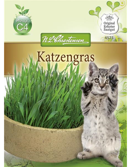 Katzengrassamen