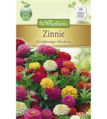 Kleinblütige Zinnie-Samen