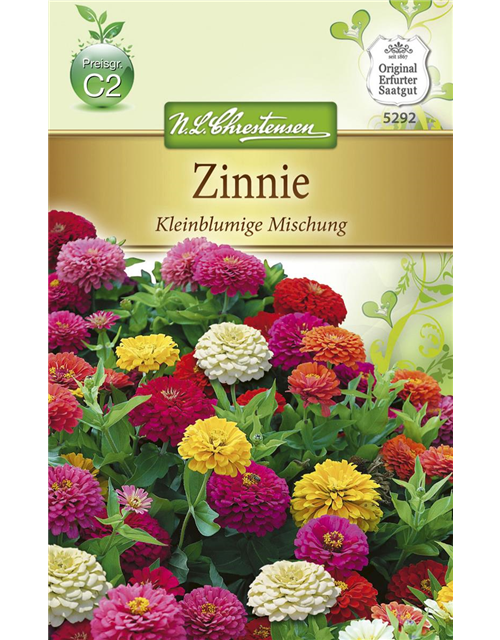 Kleinblütige Zinnie-Samen