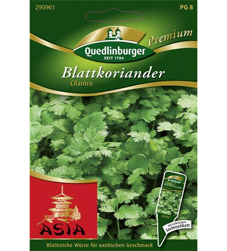 Koriandersamen 'Cilantro'