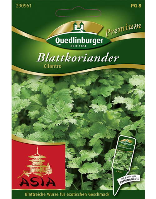 Koriandersamen 'Cilantro'