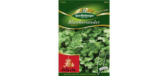 Koriandersamen 'Cilantro'