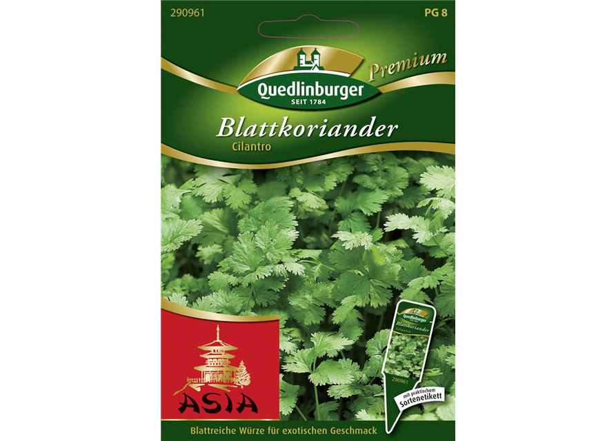 Koriandersamen 'Cilantro'