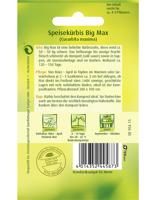 Kürbissamen 'Big Max'