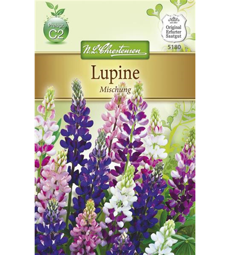 Lupinensamen