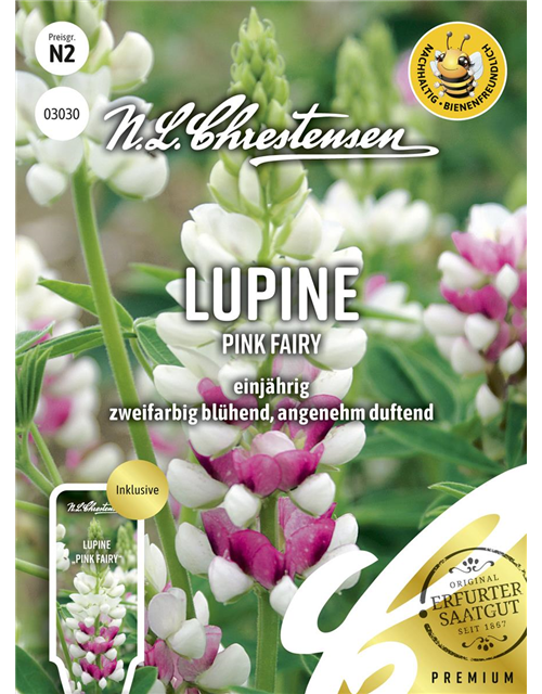 Lupinensamen 'Pink Fairy'