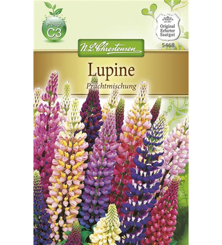 Lupinensamen 'Prachtmischung'