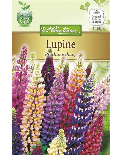 Lupinensamen 'Prachtmischung'