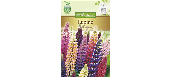 Lupinensamen 'Prachtmischung'