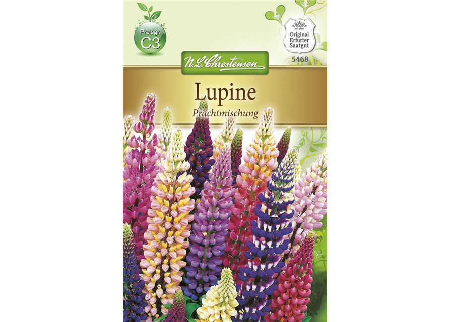 Lupinensamen 'Prachtmischung'