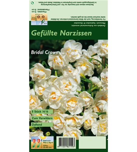 Narzisse 'Bridal Crown'