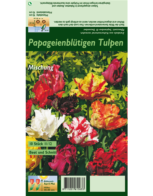 Papageien-Tulpen