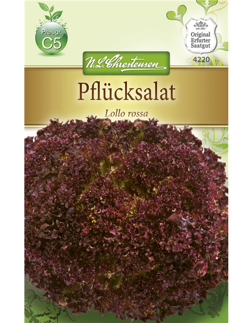 Pflücksalatsamen 'Lollo rosso'