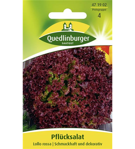 Pflücksalatsamen 'Lollo rosso'