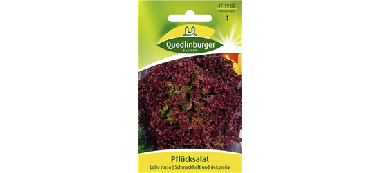 Pflücksalatsamen 'Lollo rosso'