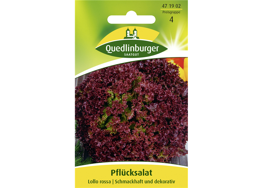 Pflücksalatsamen 'Lollo rosso'