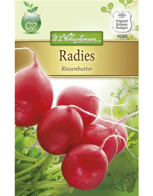 Radieschensamen 'Riesenbutter'