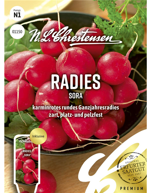 Radieschensamen 'Sora'