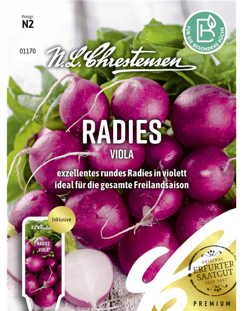 Radieschensamen 'Viola'