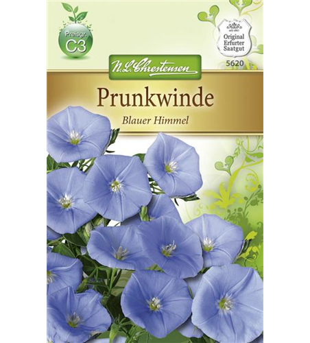 Prunkwindensamen 'Blauer Himmel'