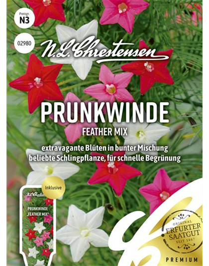 Prunkwindensamen 'Feather Mix'