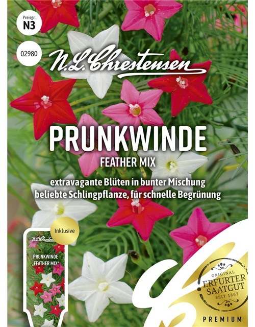 Prunkwindensamen 'Feather Mix'