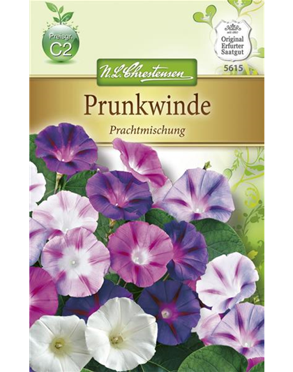 Prunkwindensamen 'Prachtmischung'