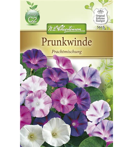 Prunkwindensamen 'Prachtmischung'