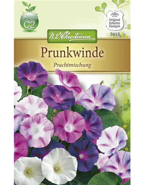 Prunkwindensamen 'Prachtmischung'