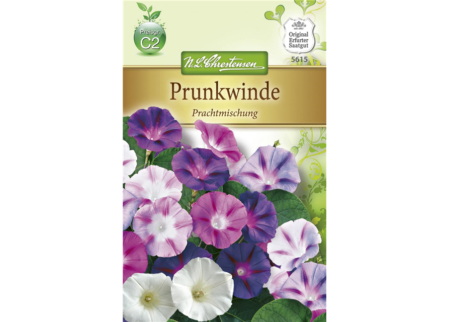 Prunkwindensamen 'Prachtmischung'