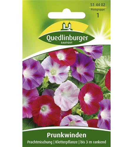 Prunkwindensamen 'Prachtmischung'