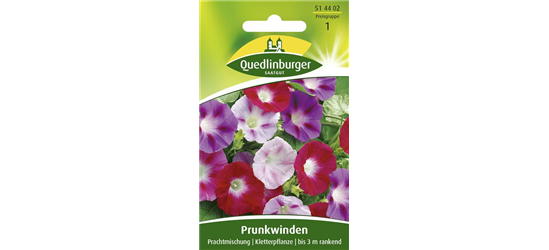 Prunkwindensamen 'Prachtmischung'