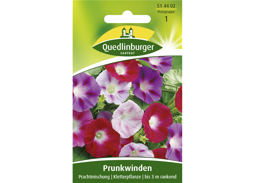 Prunkwindensamen 'Prachtmischung'