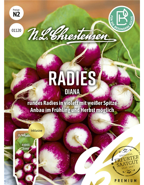 Radieschensamen 'Diana'